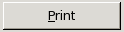 print-printbutton1.png