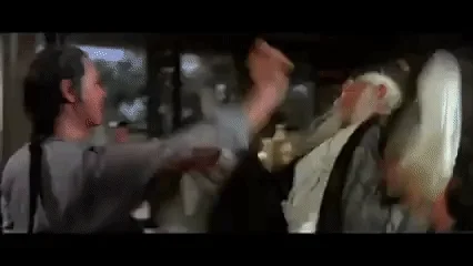 kung-fu fight